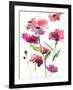 Razzleberry Blossoms-Rebecca Meyers-Framed Giclee Print