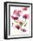 Razzleberry Blossoms-Rebecca Meyers-Framed Art Print