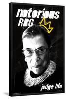 Rbg-null-Framed Standard Poster