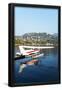 Essential Black