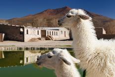 Bolivia - Eduardo Avaroa National Park-rchphoto-Photographic Print