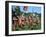 Re-Enactors Dressed as Roman Soldiers-Peter Thompson-Framed Photographic Print