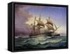 Re Galantuomo Vessel with Two Decks and Re D'Italia Pirofregata Battleship, 1864-null-Framed Stretched Canvas