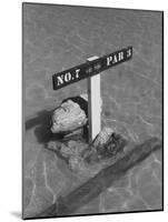 Re: Low Tide Country Club, Wake Island-null-Mounted Premium Photographic Print