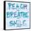 Reach, Breathe, Smile-SD Graphics Studio-Framed Stretched Canvas