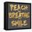 Reach, Breathe, Smile-SD Graphics Studio-Framed Stretched Canvas