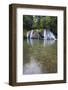 Reach Falls, Portland Parish, Jamaica, West Indies, Caribbean, Central America-Doug Pearson-Framed Photographic Print