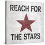 Reach for Stars Sq-N. Harbick-Stretched Canvas