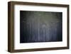 Reach for the Sky-Valda Bailey-Framed Photographic Print