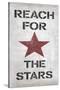 Reach for the Stars-N. Harbick-Stretched Canvas