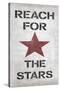 Reach for the Stars-N. Harbick-Stretched Canvas