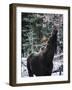 Reach Higher-Brenda Petrella Photography LLC-Framed Giclee Print