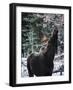 Reach Higher-Brenda Petrella Photography LLC-Framed Giclee Print