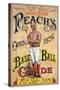 Reach's Official Baseball Guide, 1896-null-Stretched Canvas