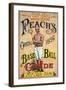 Reach's Official Baseball Guide, 1896-null-Framed Giclee Print