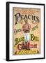 Reach's Official Baseball Guide, 1896-null-Framed Giclee Print