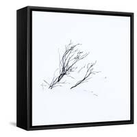 Reachiing-Doug Chinnery-Framed Stretched Canvas