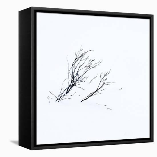 Reachiing-Doug Chinnery-Framed Stretched Canvas