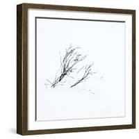 Reachiing-Doug Chinnery-Framed Photographic Print