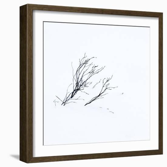 Reachiing-Doug Chinnery-Framed Photographic Print