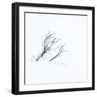 Reachiing-Doug Chinnery-Framed Photographic Print