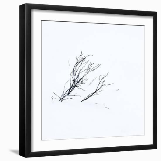 Reachiing-Doug Chinnery-Framed Photographic Print