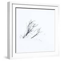 Reachiing-Doug Chinnery-Framed Photographic Print