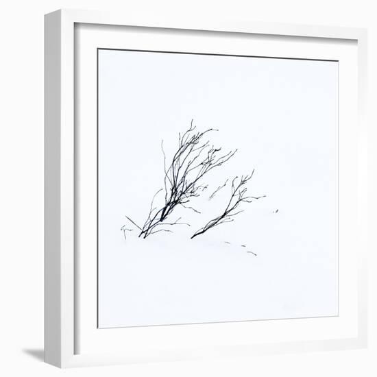 Reachiing-Doug Chinnery-Framed Photographic Print