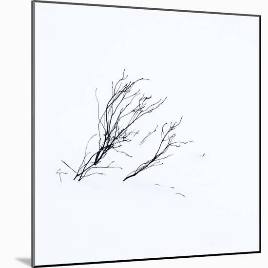 Reachiing-Doug Chinnery-Mounted Photographic Print