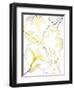 Reaching Brightness 1-Albert Koetsier-Framed Photographic Print