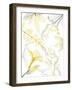 Reaching Brightness 1-Albert Koetsier-Framed Photographic Print