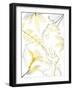 Reaching Brightness 1-Albert Koetsier-Framed Photographic Print