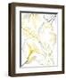 Reaching Brightness 1-Albert Koetsier-Framed Premium Photographic Print