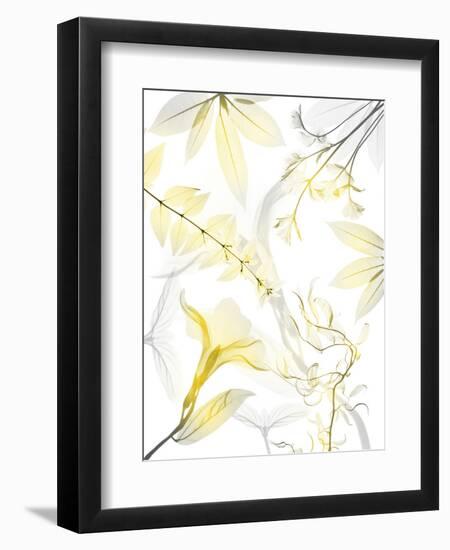 Reaching Brightness 1-Albert Koetsier-Framed Premium Photographic Print