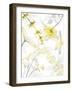 Reaching Brightness 2-Albert Koetsier-Framed Photographic Print