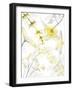 Reaching Brightness 2-Albert Koetsier-Framed Photographic Print