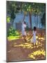 Reaching for Oranges, Bentota, Sri Lanka, 1998-Andrew Macara-Mounted Giclee Print