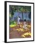 Reaching for Oranges, Bentota, Sri Lanka, 1998-Andrew Macara-Framed Giclee Print