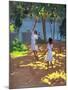 Reaching for Oranges, Bentota, Sri Lanka, 1998-Andrew Macara-Mounted Giclee Print