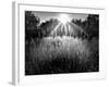 Reaching for the Sky-Martin Henson-Framed Photographic Print