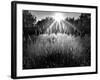 Reaching for the Sky-Martin Henson-Framed Photographic Print