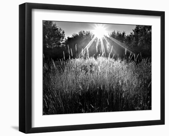 Reaching for the Sky-Martin Henson-Framed Photographic Print