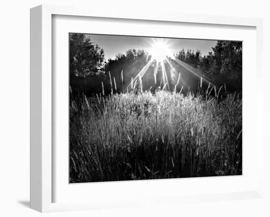 Reaching for the Sky-Martin Henson-Framed Photographic Print