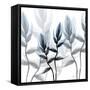 Reaching Heaven-Albert Koetsier-Framed Stretched Canvas