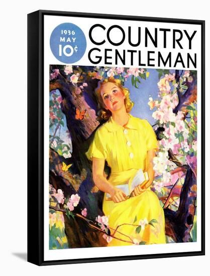 "Reading Among the Blossoms," Country Gentleman Cover, May 1, 1936-null-Framed Stretched Canvas