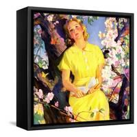 "Reading Among the Blossoms,"May 1, 1936-null-Framed Stretched Canvas