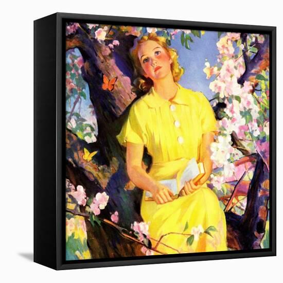 "Reading Among the Blossoms,"May 1, 1936-null-Framed Stretched Canvas