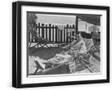 Black Frame