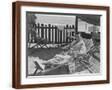 Brown Frame