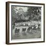 Reading Lesson Outside, Bostall Woods Open Air School, London, 1907-null-Framed Photographic Print